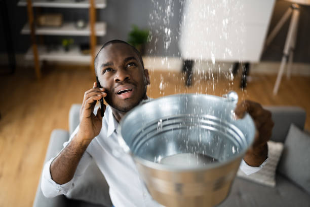 Best Carpet water damage restoration  in Mazomanie, WI