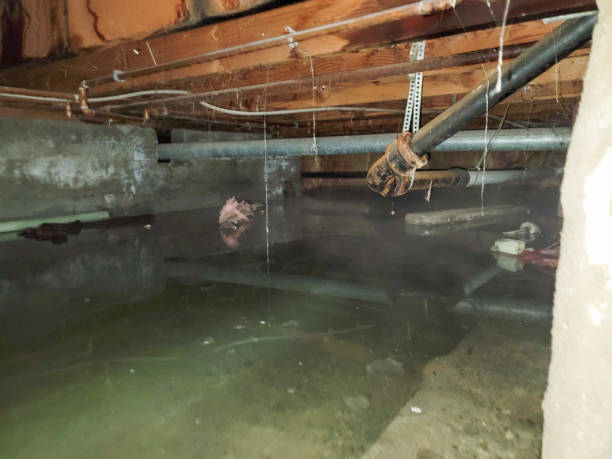 Best Emergency water damage restoration  in Mazomanie, WI