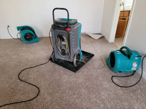 Best Commercial water damage restoration  in Mazomanie, WI