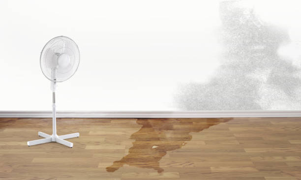 Best Local water damage restoration  in Mazomanie, WI