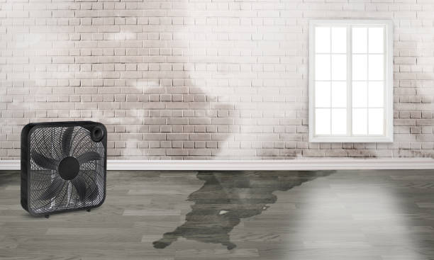 Best 24/7 water damage repair  in Mazomanie, WI