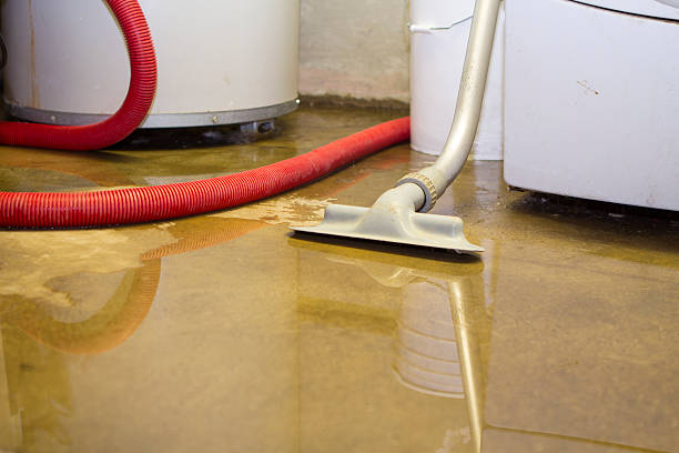 Best Water damage contractors near me  in Mazomanie, WI