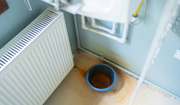 Best Fire Damage Restoration  in Mazomanie, WI