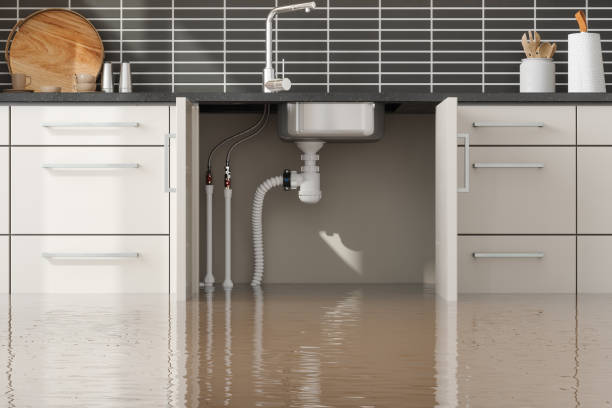 Best Water damage restoration near me  in Mazomanie, WI