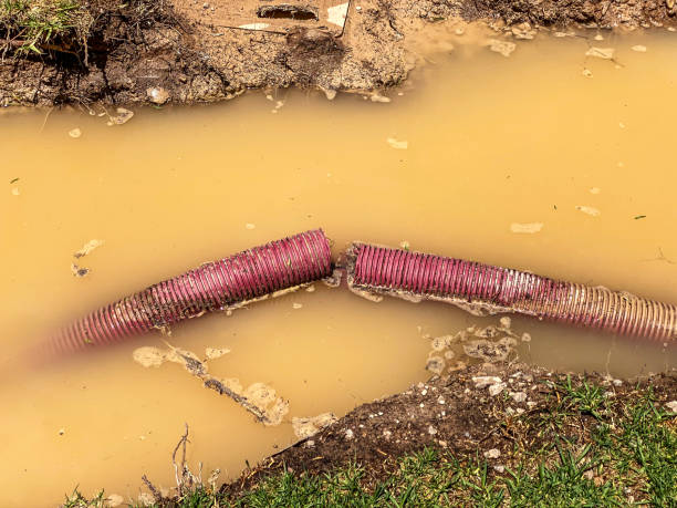  Mazomanie, WI Water damage restoration Pros