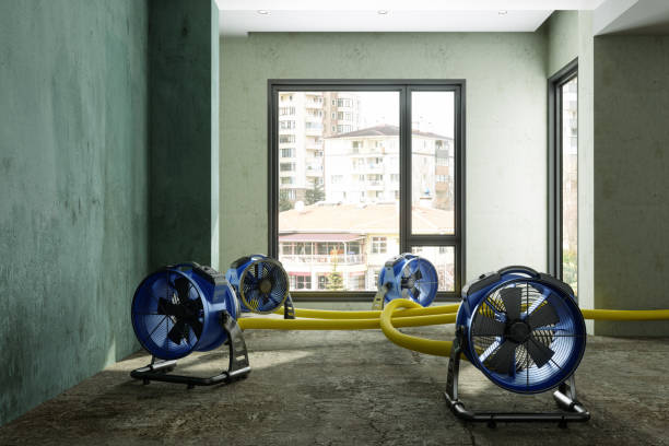 Best Water damage restoration near me  in Mazomanie, WI