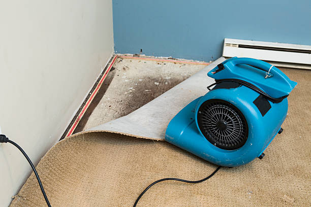 Best 24/7 water damage repair  in Mazomanie, WI